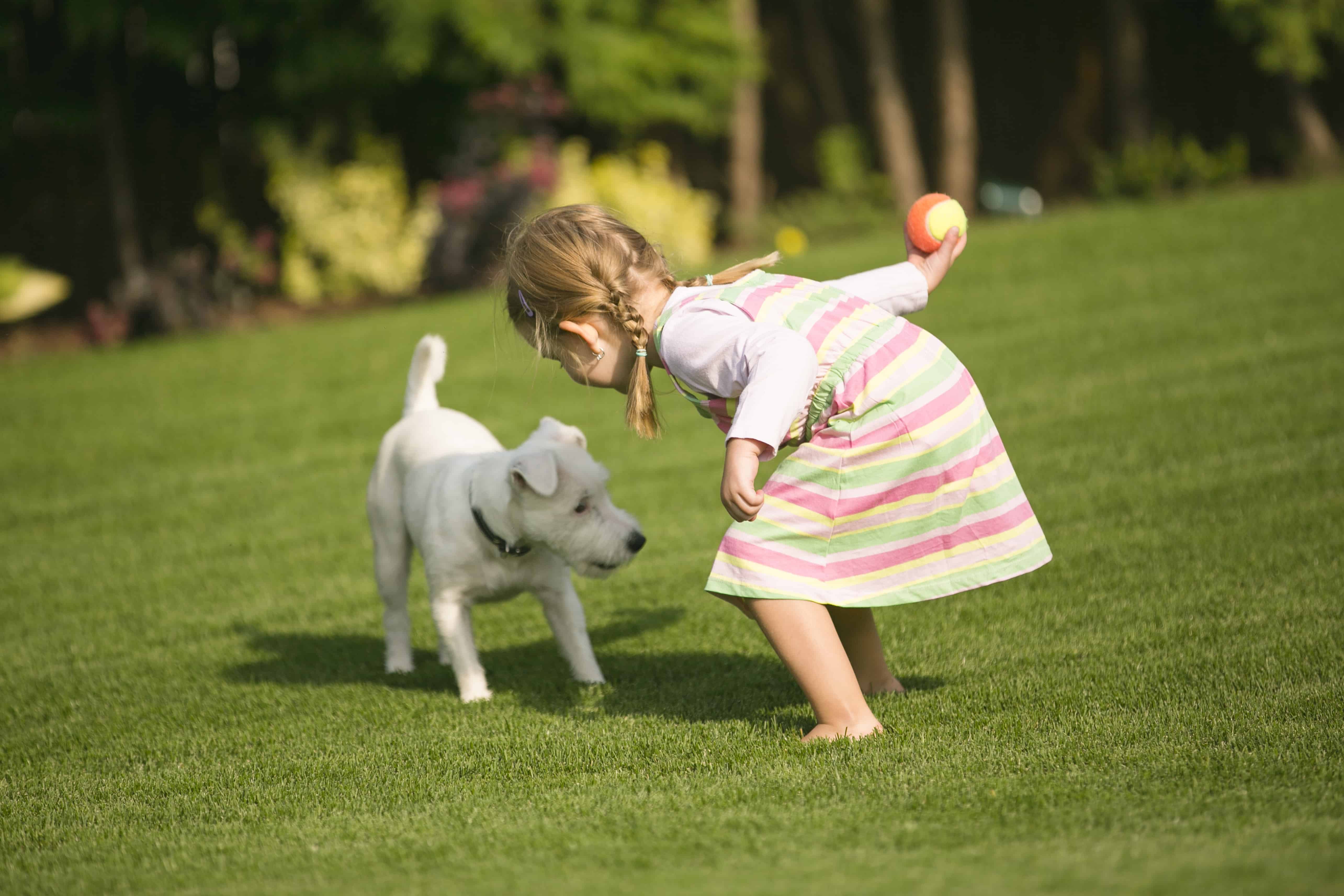 Spring Is In The Air OC Turf Putting Greens   IStock 529995281 