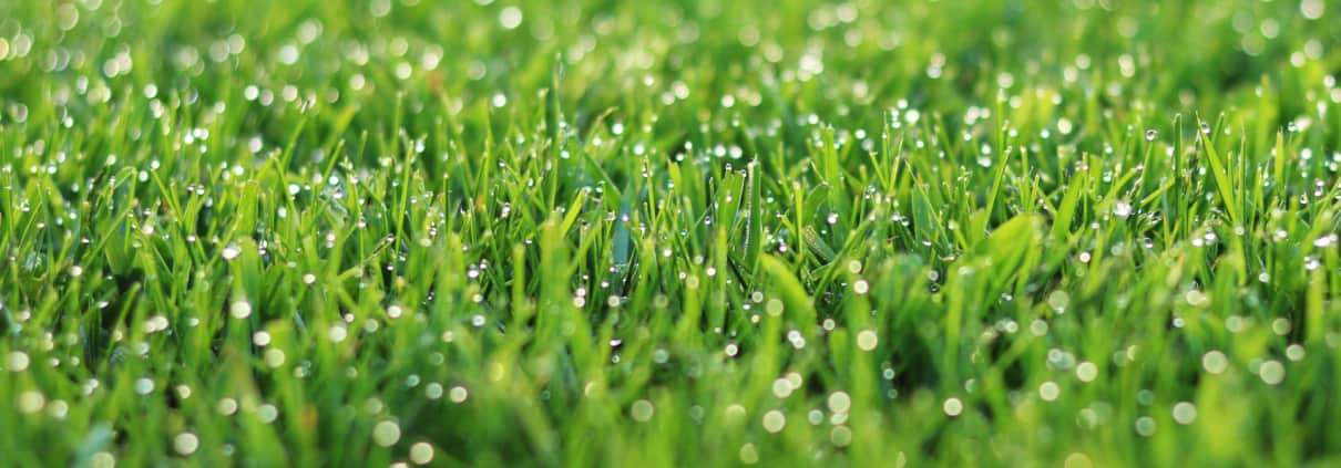 Why Drainage Is Important to Your Artificial Grass - OC Turf & Putting  Greens